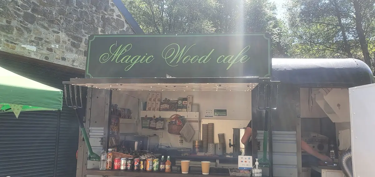 Inside Magic Wood Café, Sheffield