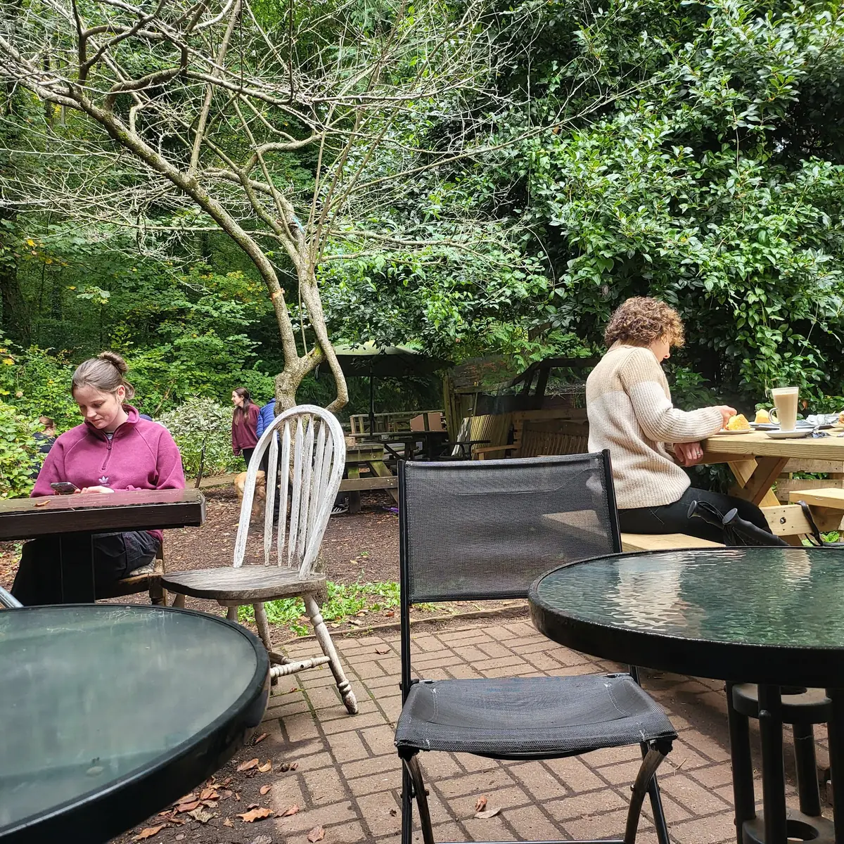 Forest Cafe photo (photo 3 of 3)