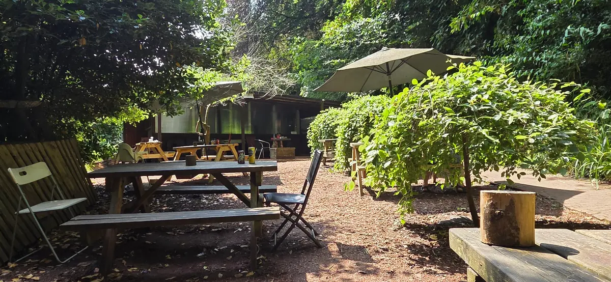 Forest Cafe photo (photo 1 of 3)