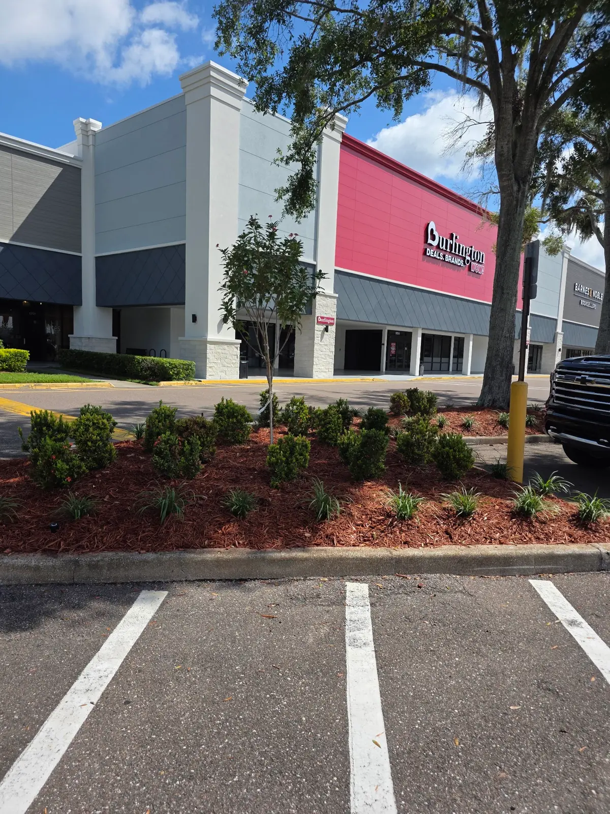 Palms of Carrollwood Shopping Center — Shopping Malls in Tampa