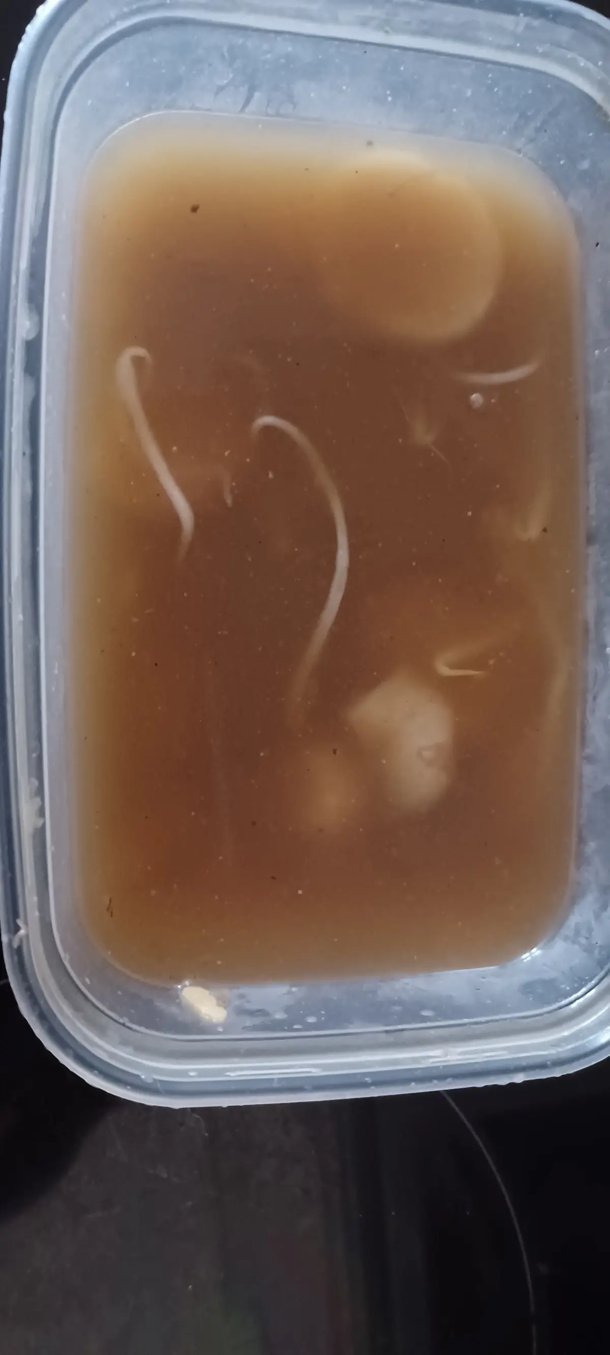 Wok King photo (photo 3 of 3)