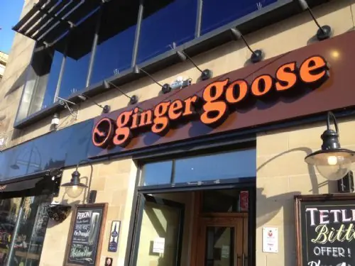 Ginger Goose photo (photo 1 of 3)