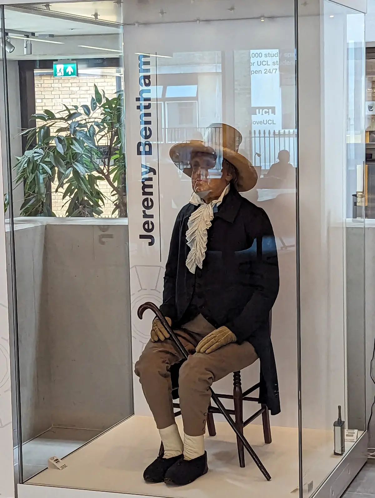 Jeremy Bentham Room (JBR) photo (photo 3 of 3)