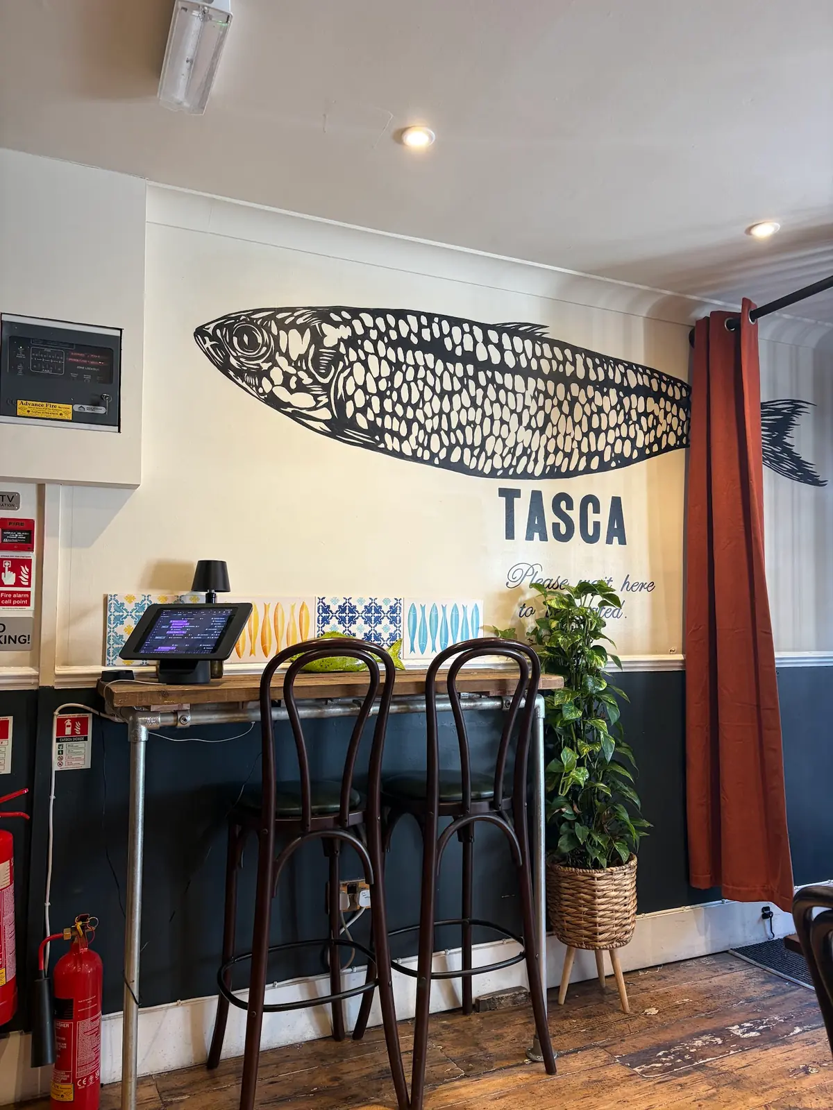 TASCA York photo (photo 2 of 3)