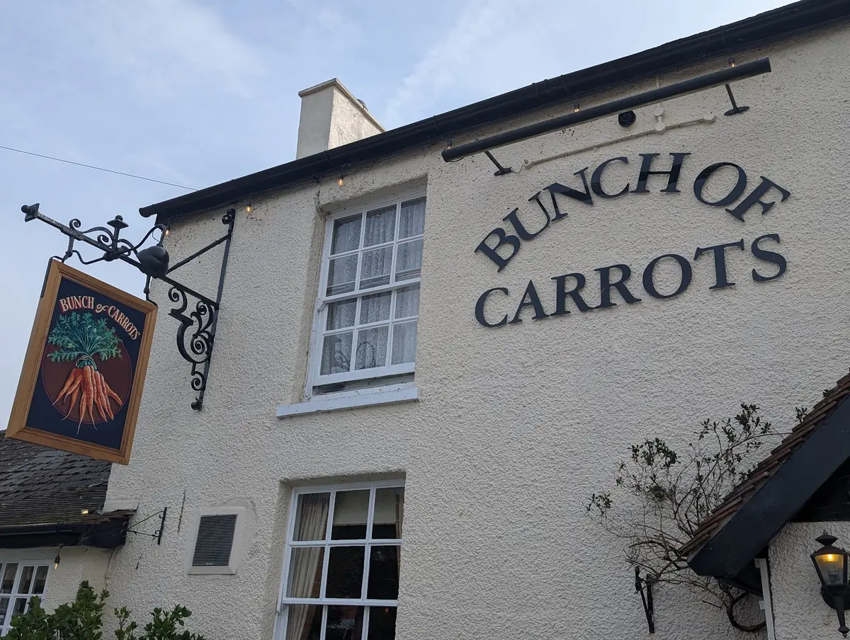 Bunch of Carrots photo (photo 2 of 3)