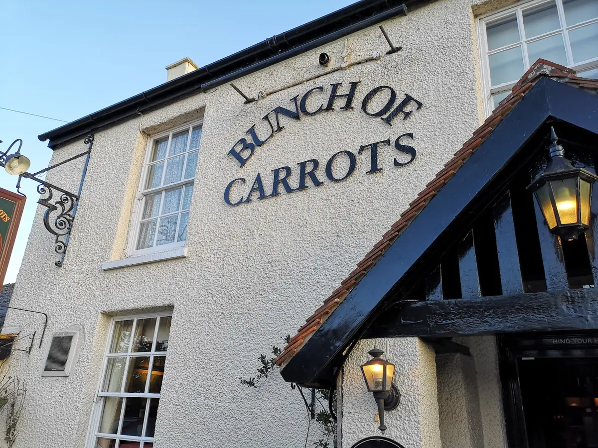 Bunch of Carrots — Bars in Hereford
