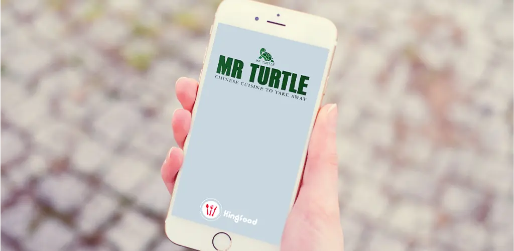 Mr Turtle photo (photo 2 of 3)
