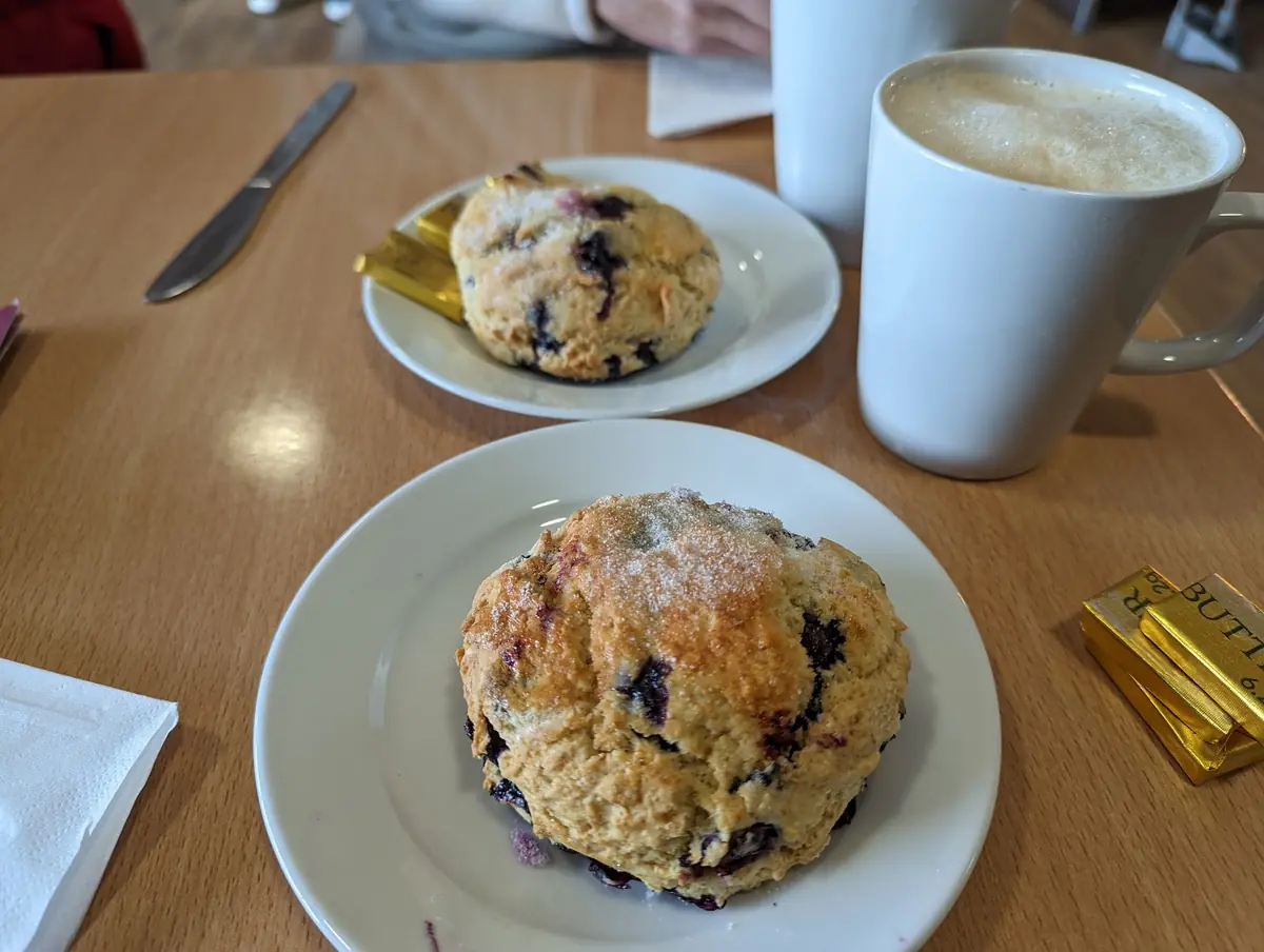 Rising Sun Countryside Centre Cafe photo (photo 1 of 3)