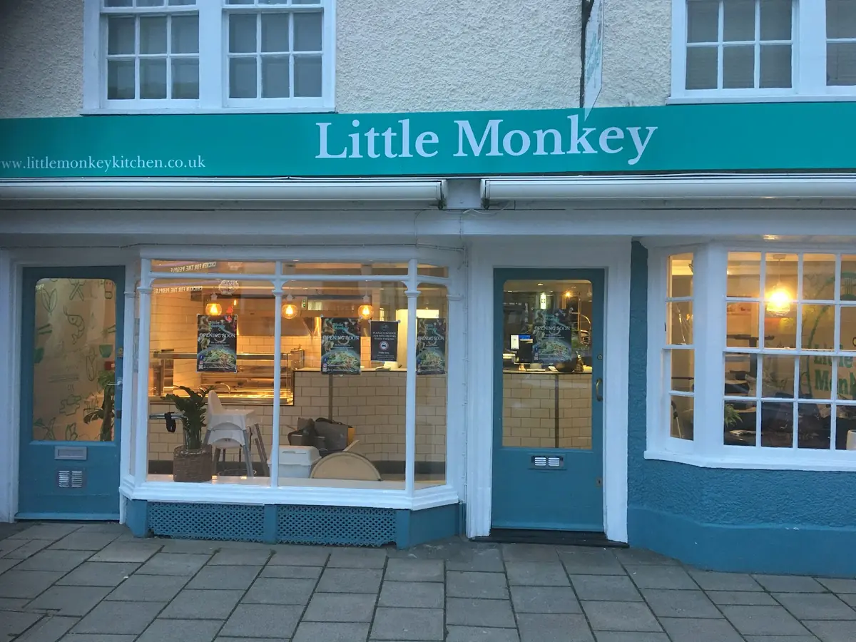 Little Monkey photo (photo 1 of 3)