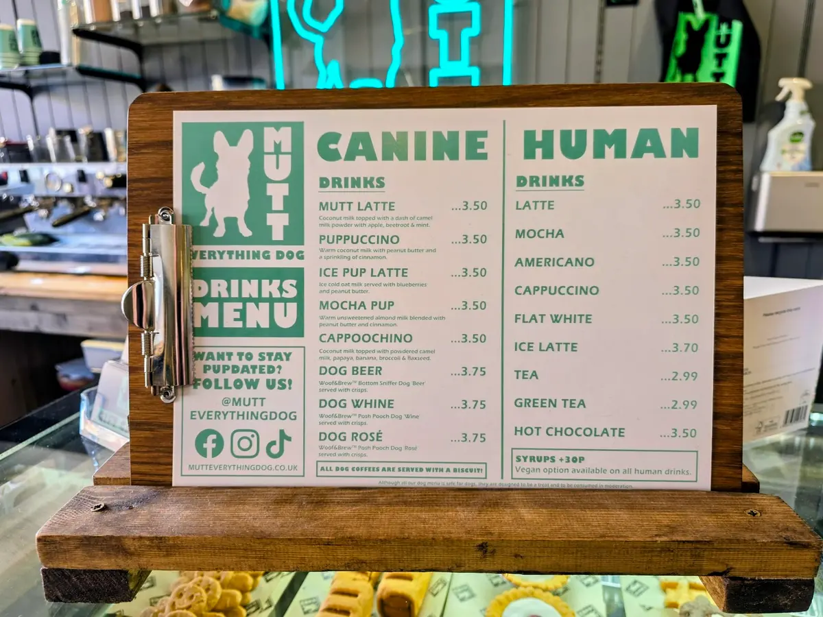 MUTT Everything Dog photo (photo 1 of 3)