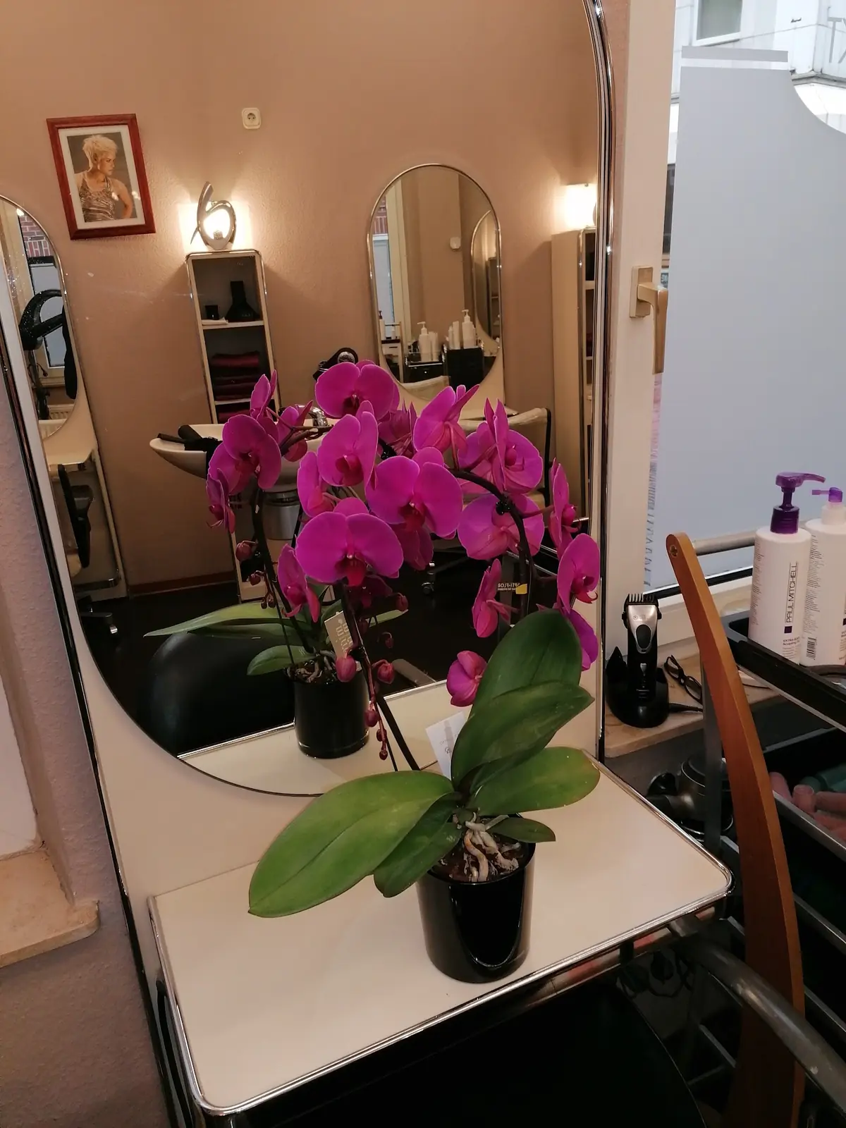 Bernd Schwenk FriseurMstr. photo (photo 3 of 3)