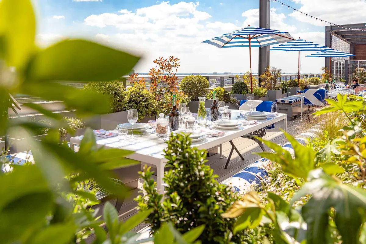 Skylark Roof Garden photo (photo 3 of 3)