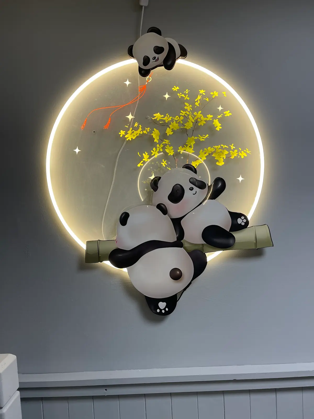 Panda Panda photo (photo 3 of 3)