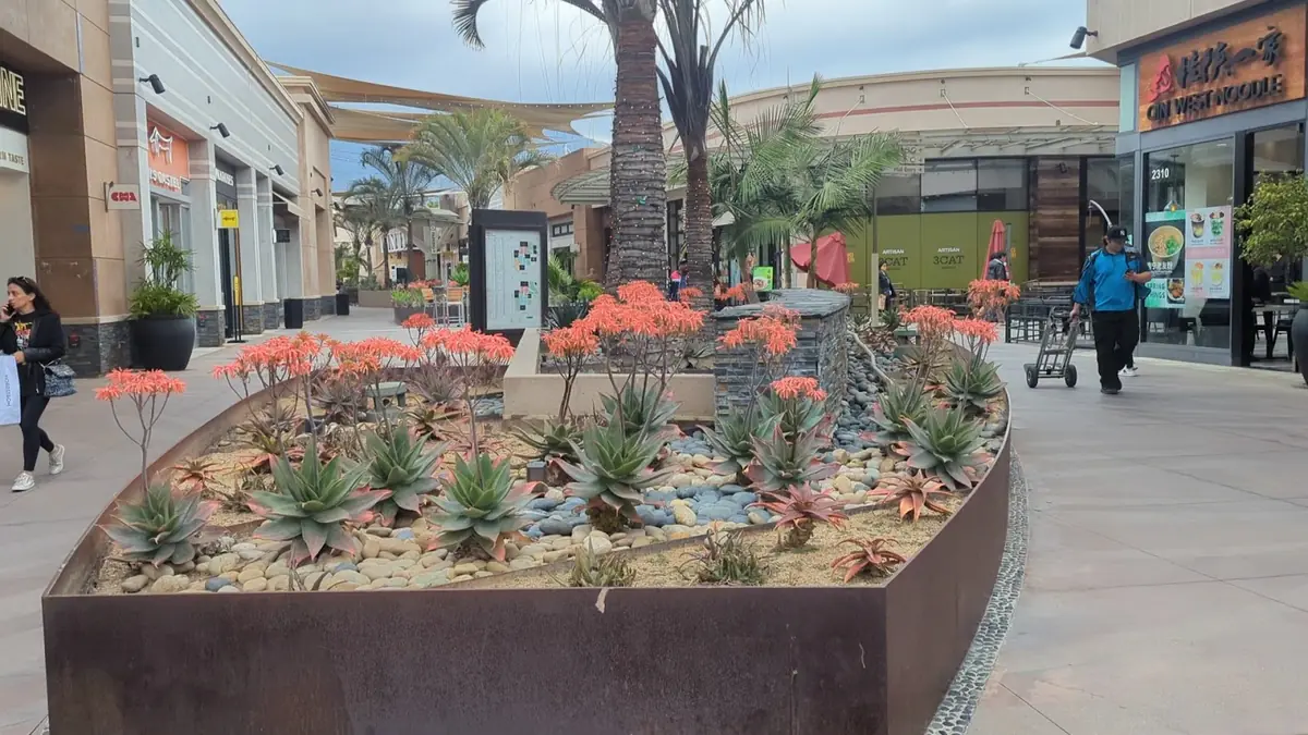 Arcadia Hub Shopping Center photo (photo 2 of 3)