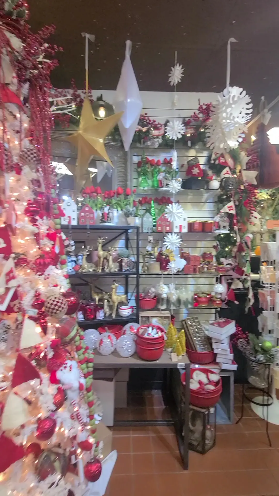 Meadows Shopping Center photo (photo 2 of 3)