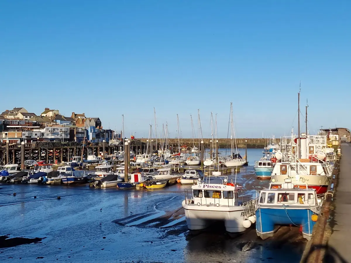 Adams Harbour Cafe photo (photo 3 of 3)