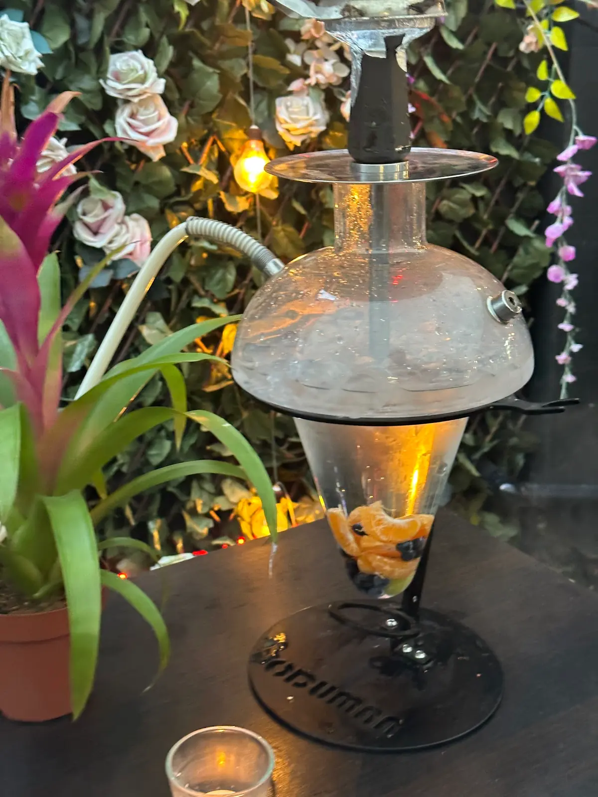 Zen Garden Portsmouth & Shisha Lounge photo (photo 3 of 3)