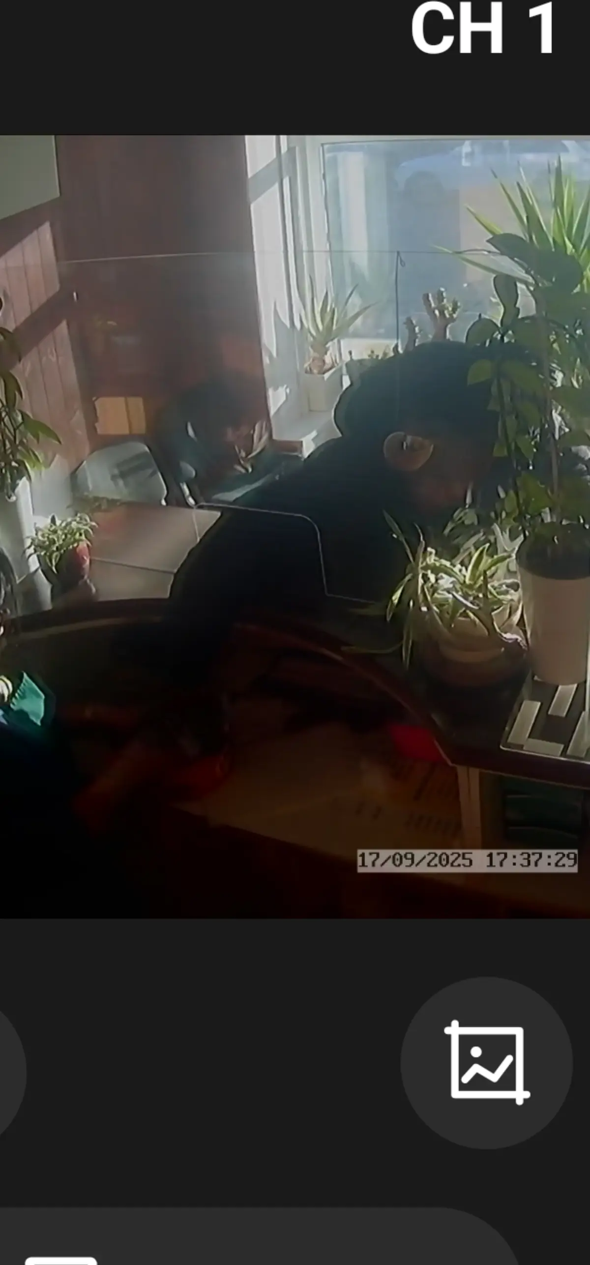 The Lucky Chinese Takeaway photo (photo 3 of 3)