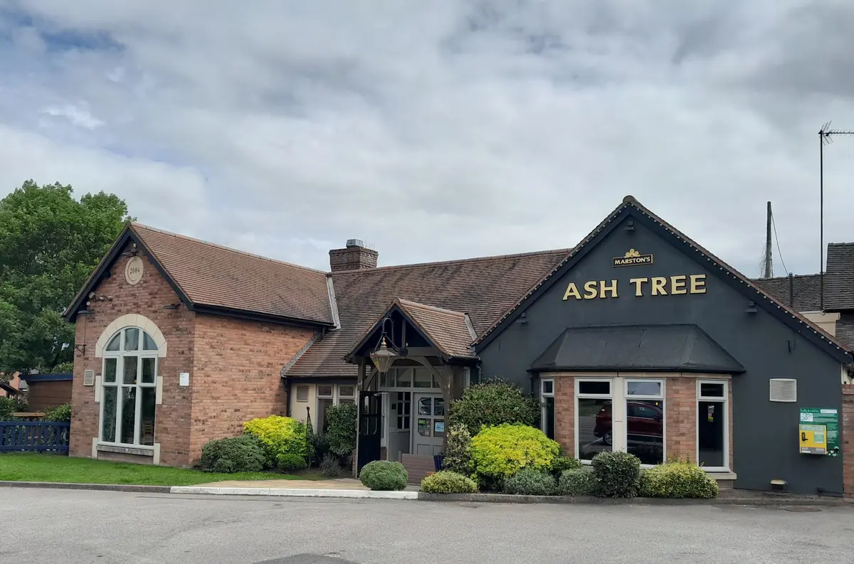 Ash Tree photo (photo 2 of 3)