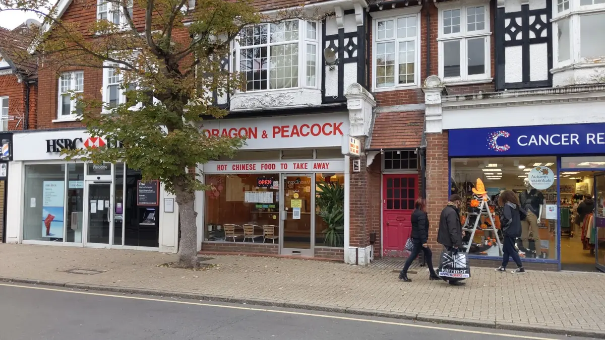 Dragon & Peacock