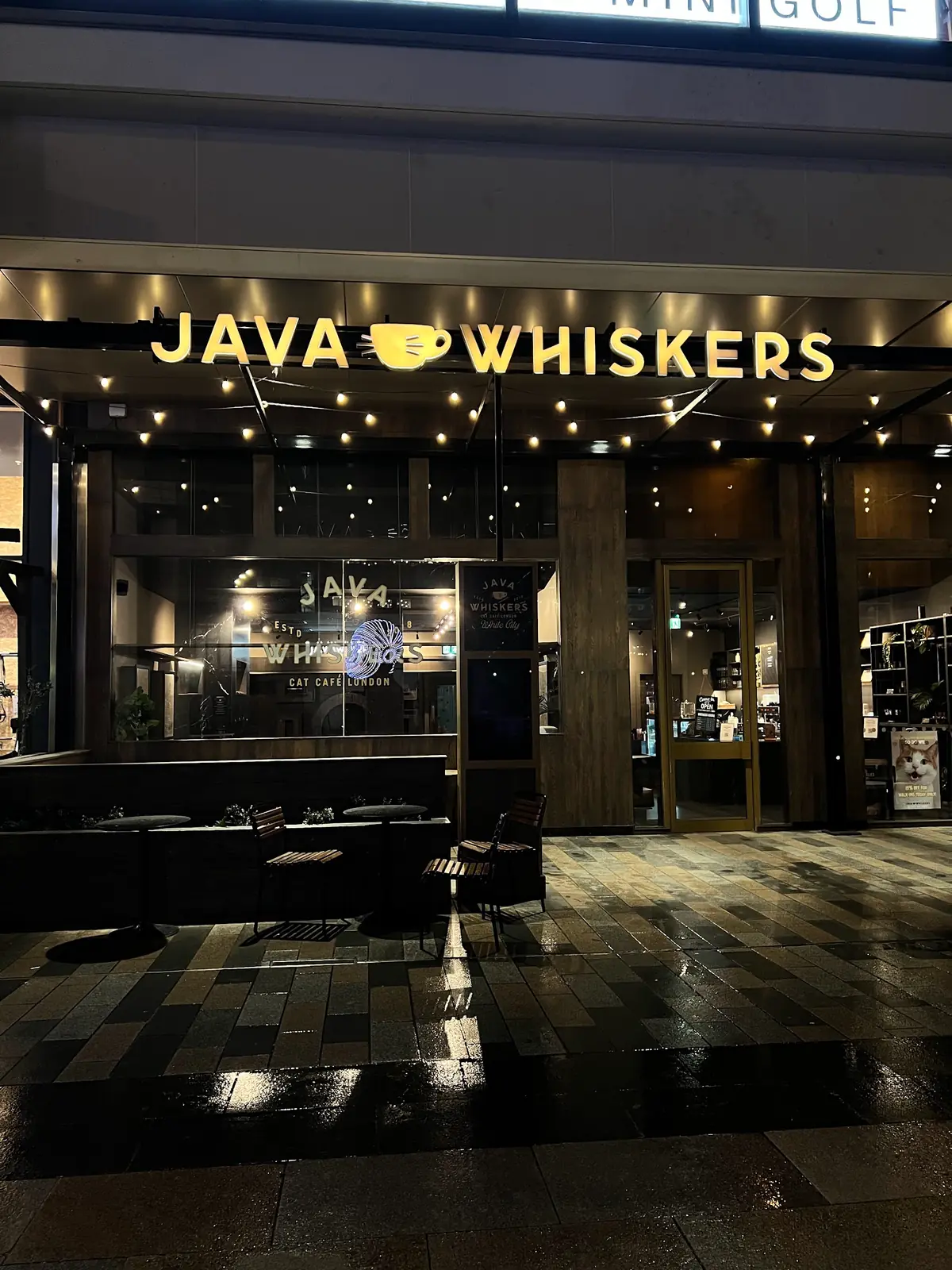 Java Whiskers Cat Café White City