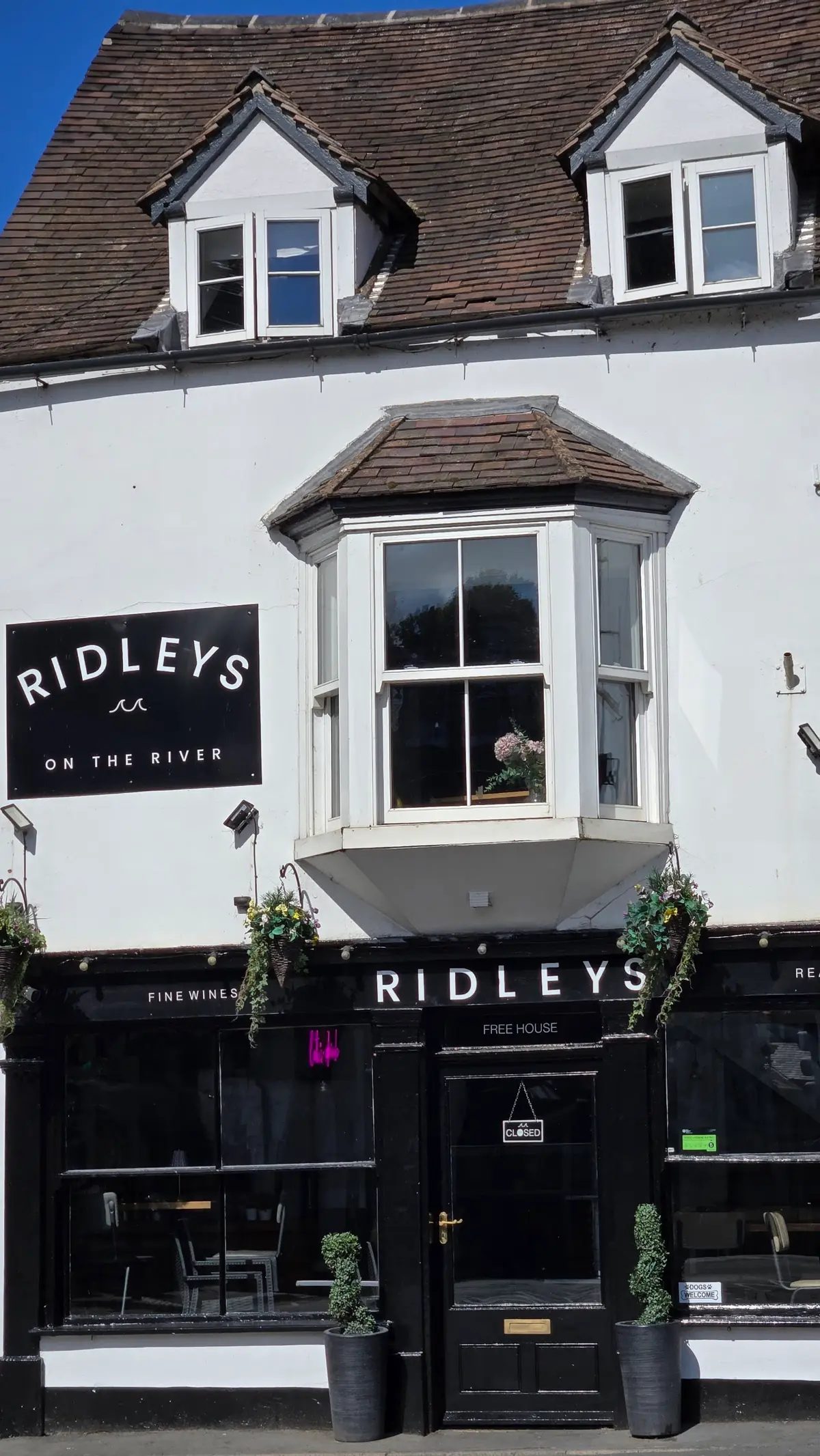 Ridleys on the River photo (photo 3 of 3)