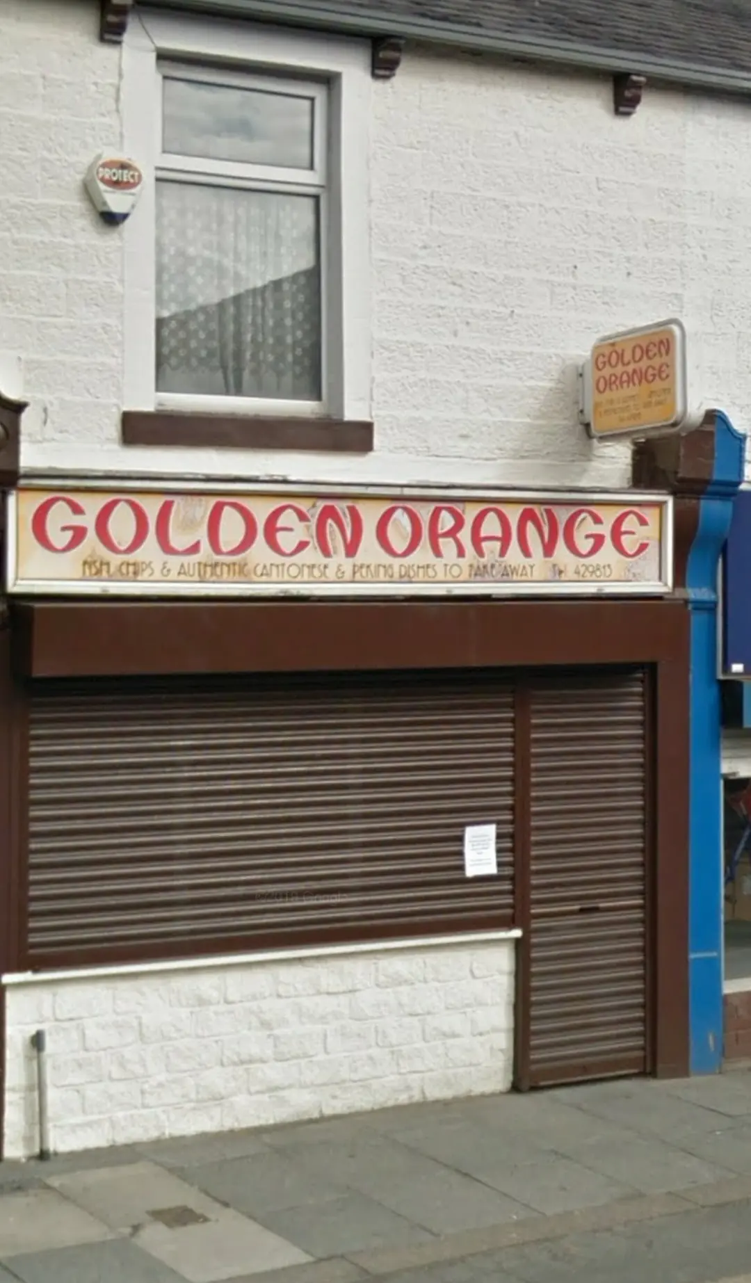 Golden Orange photo (photo 3 of 3)