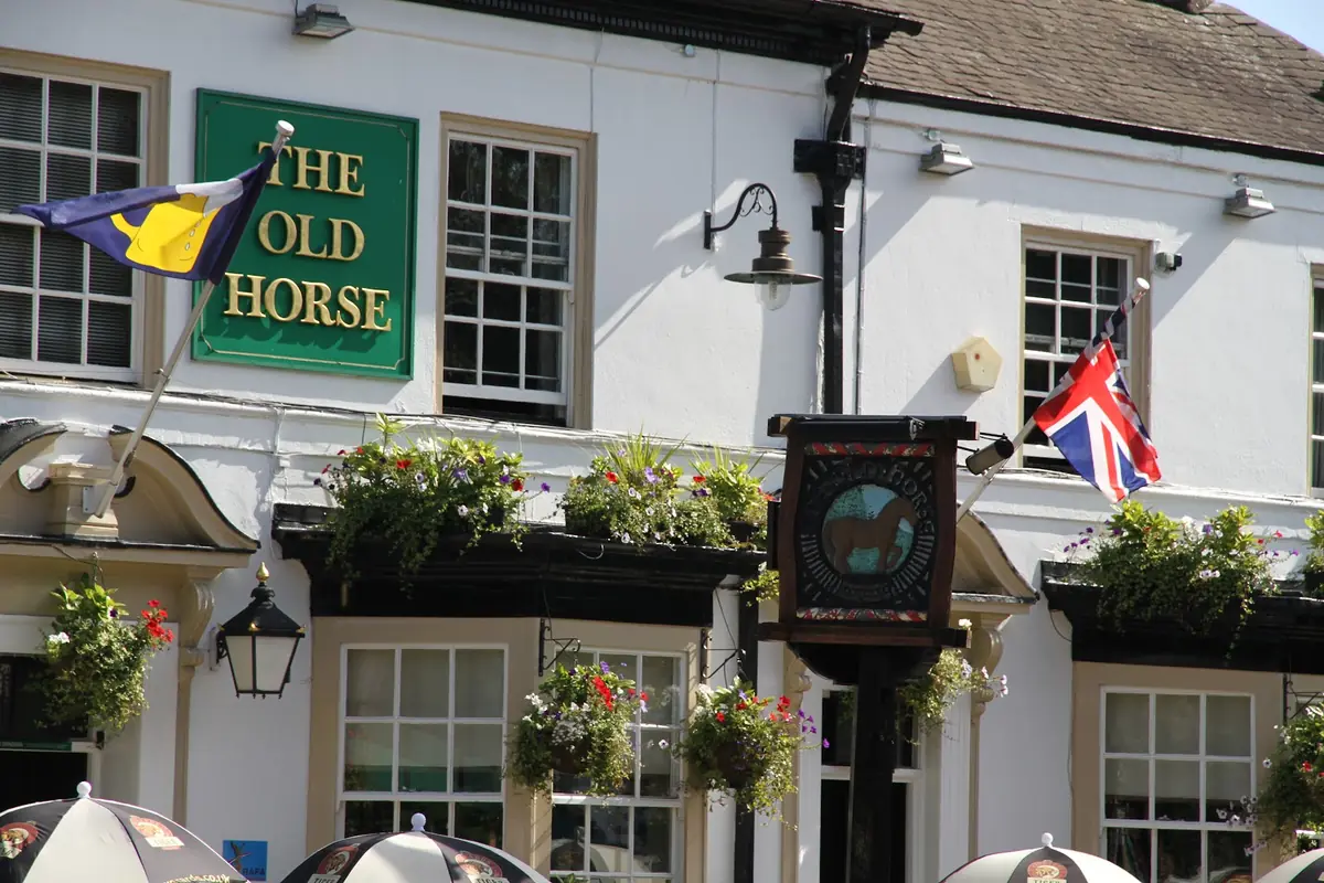 The Old Horse photo (photo 1 of 3)