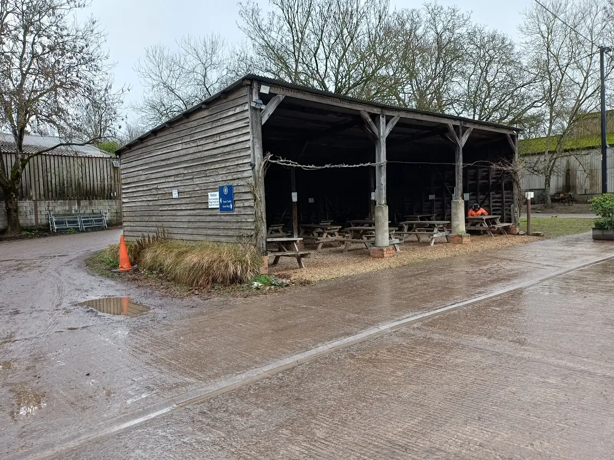 Cholderton Farm Shop & Cafe photo (photo 3 of 3)