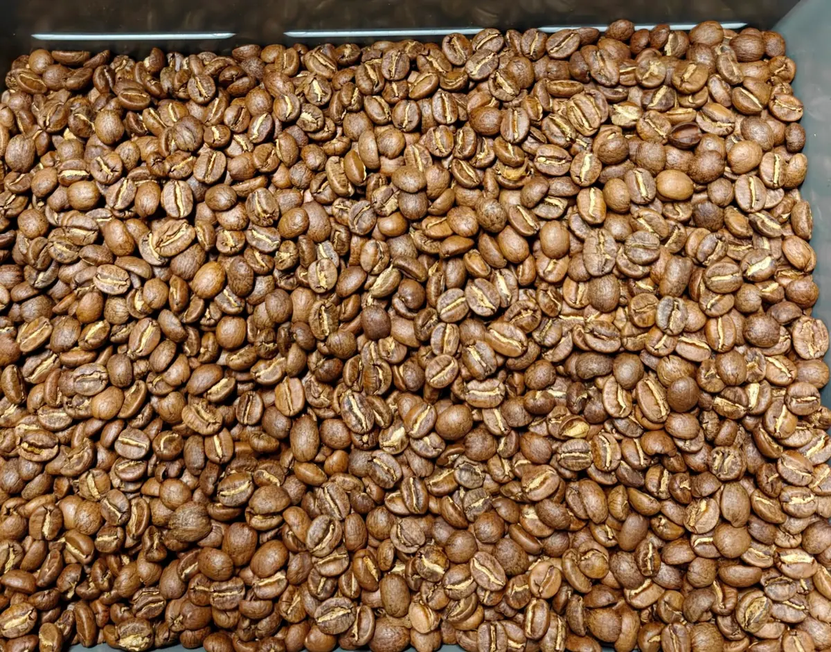 Viking Coffee Hatch photo (photo 2 of 2)