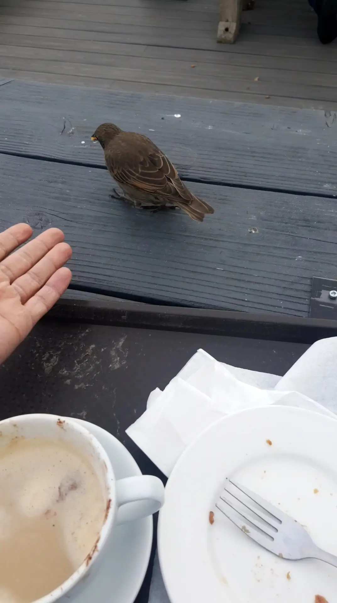 Coffee Cup Eastney photo (photo 1 of 3)