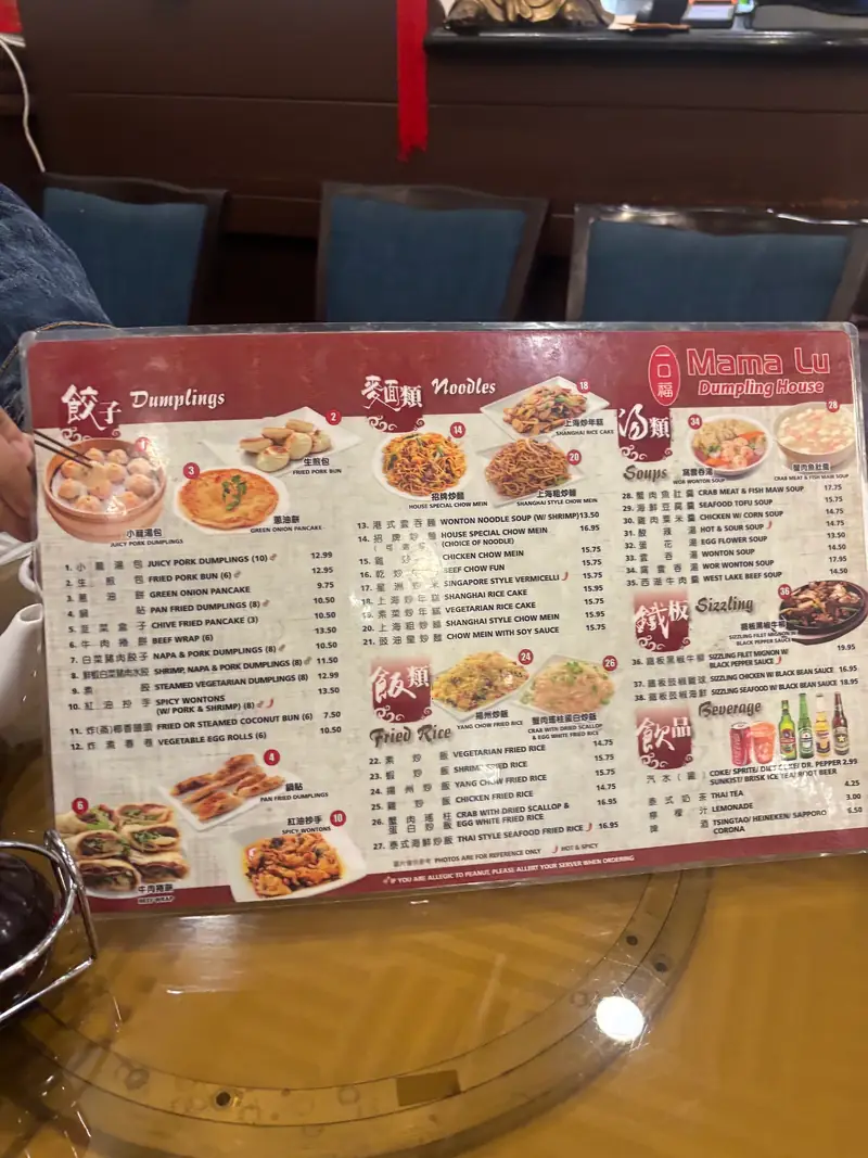 Mama Lu's Dumpling House photo (photo 1 of 3)