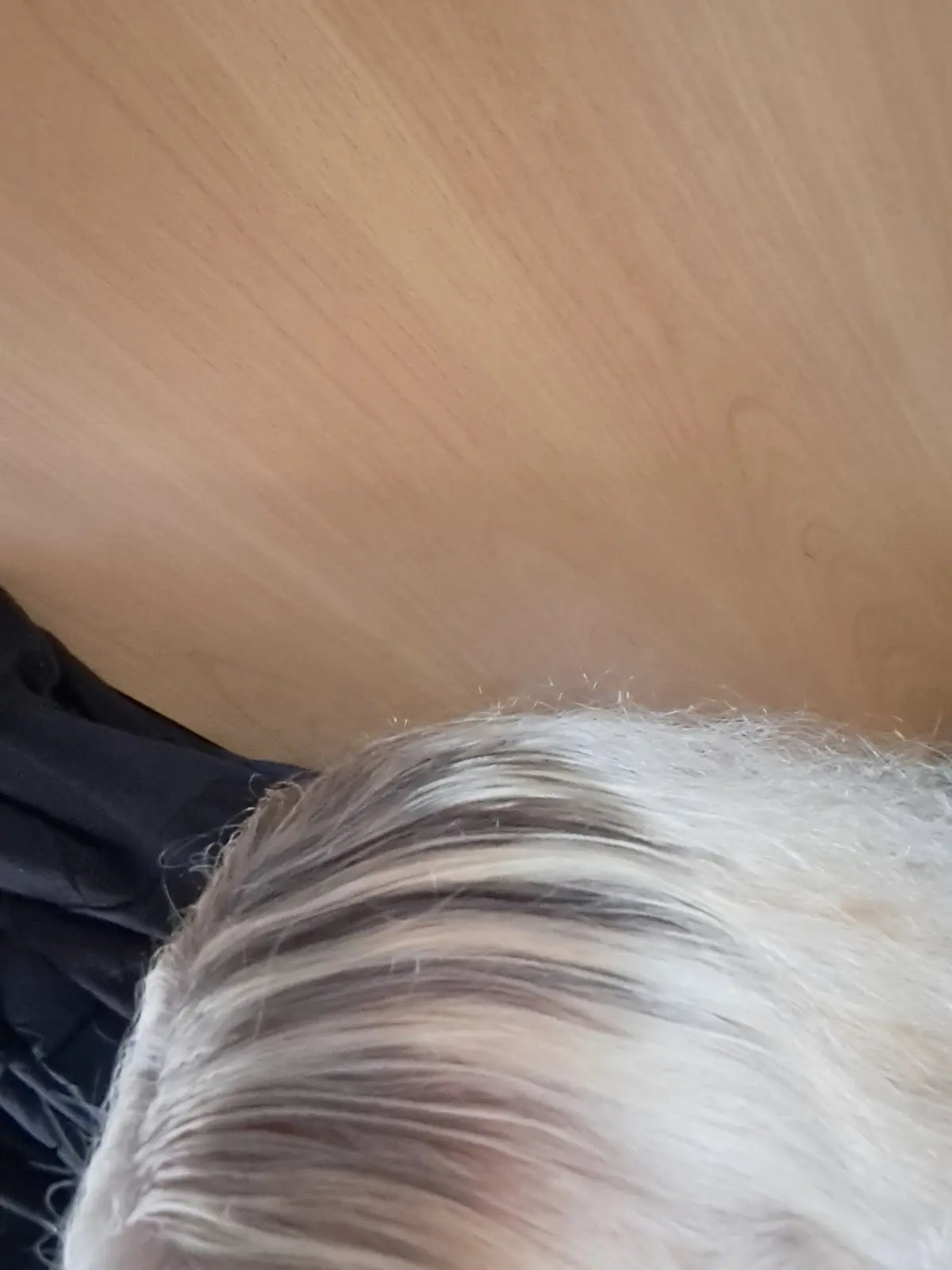 Coiffeur Süreyya photo (photo 3 of 3)