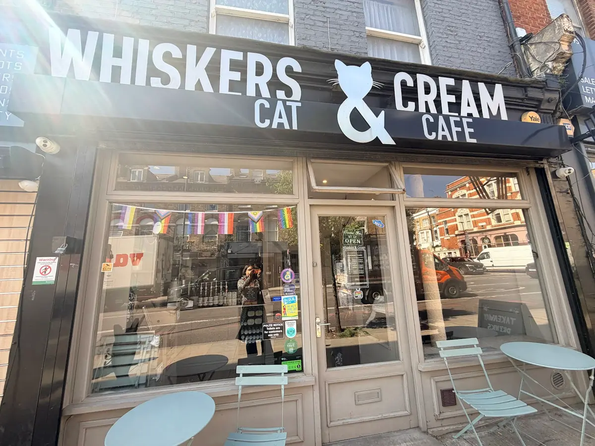 Whiskers & Cream Cat Cafe London photo (photo 1 of 3)