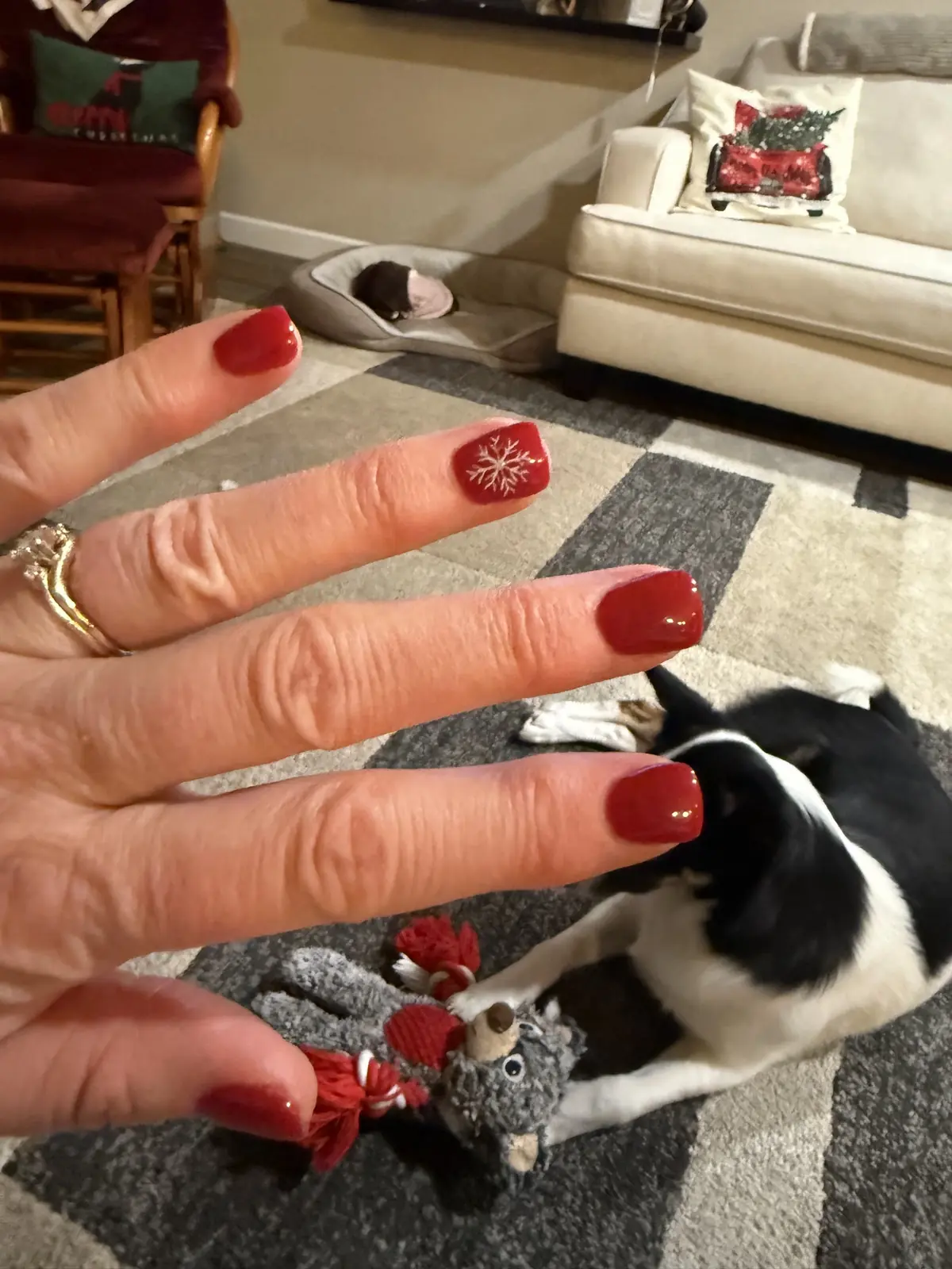 Helen's Nails — Nail Salons in Colorado Springs