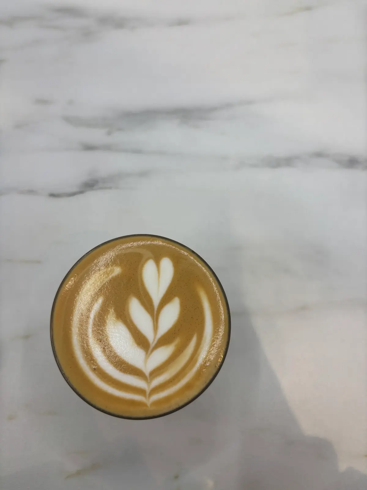 Olive Coffee Co photo (photo 3 of 3)