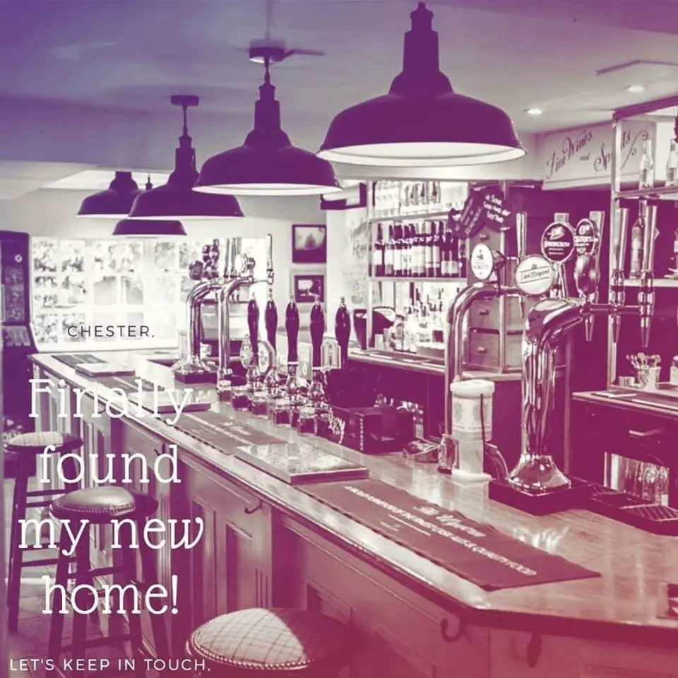 The Wyvern — Bars in Fleet