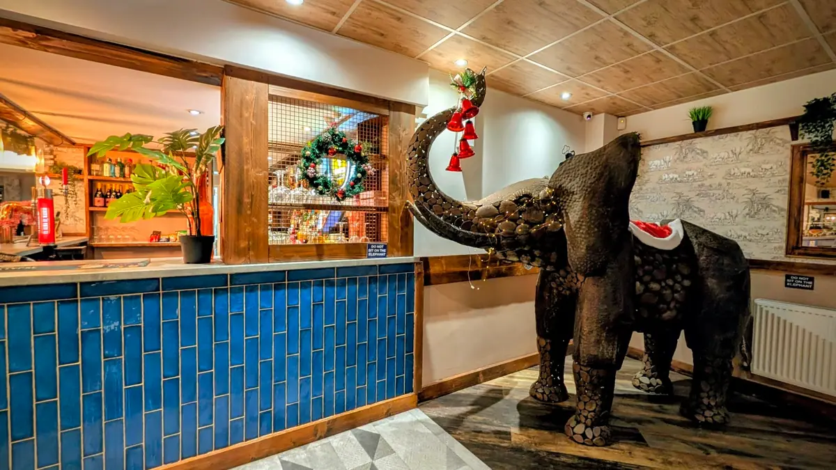 The Hungry Elephant Bar & Grill photo (photo 1 of 3)