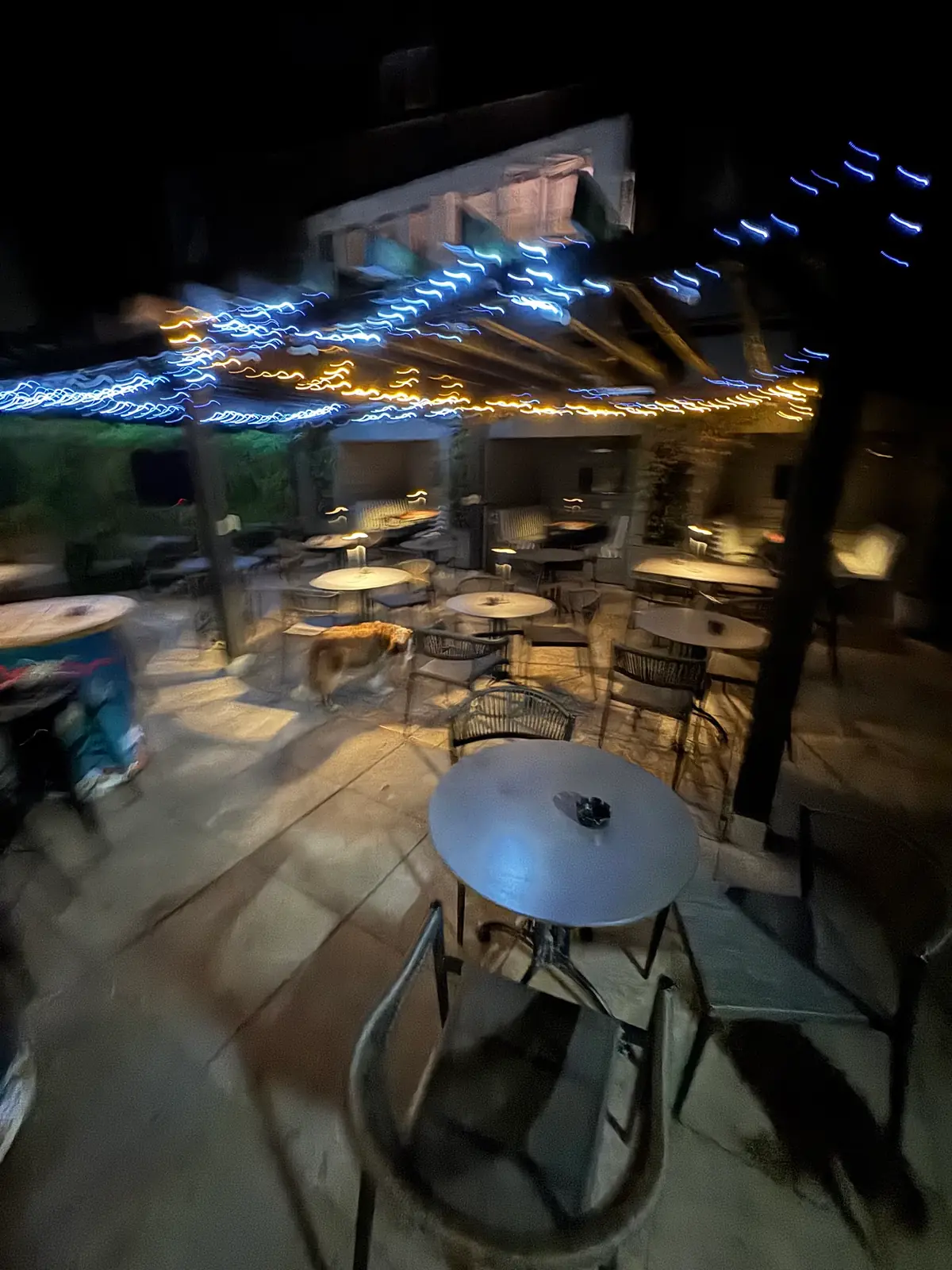 Junction Tavern Kentish Town — Bars in London