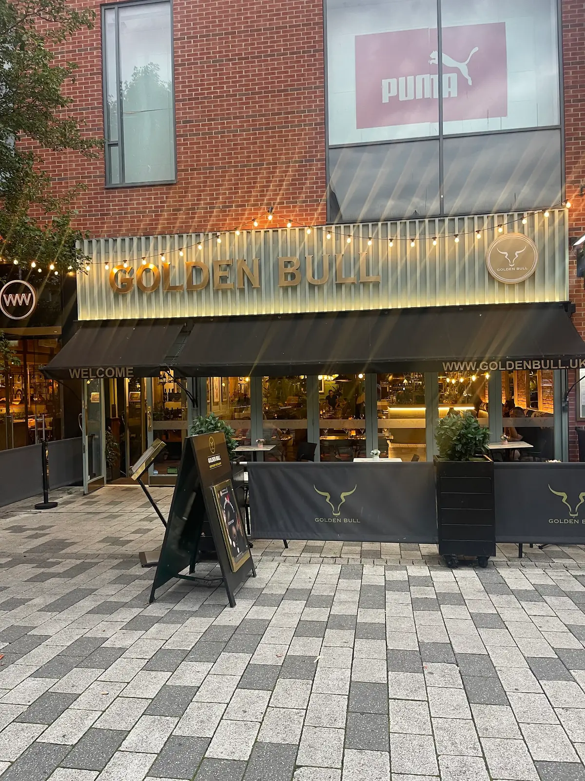 Golden Bull Steakhouse photo (photo 2 of 3)