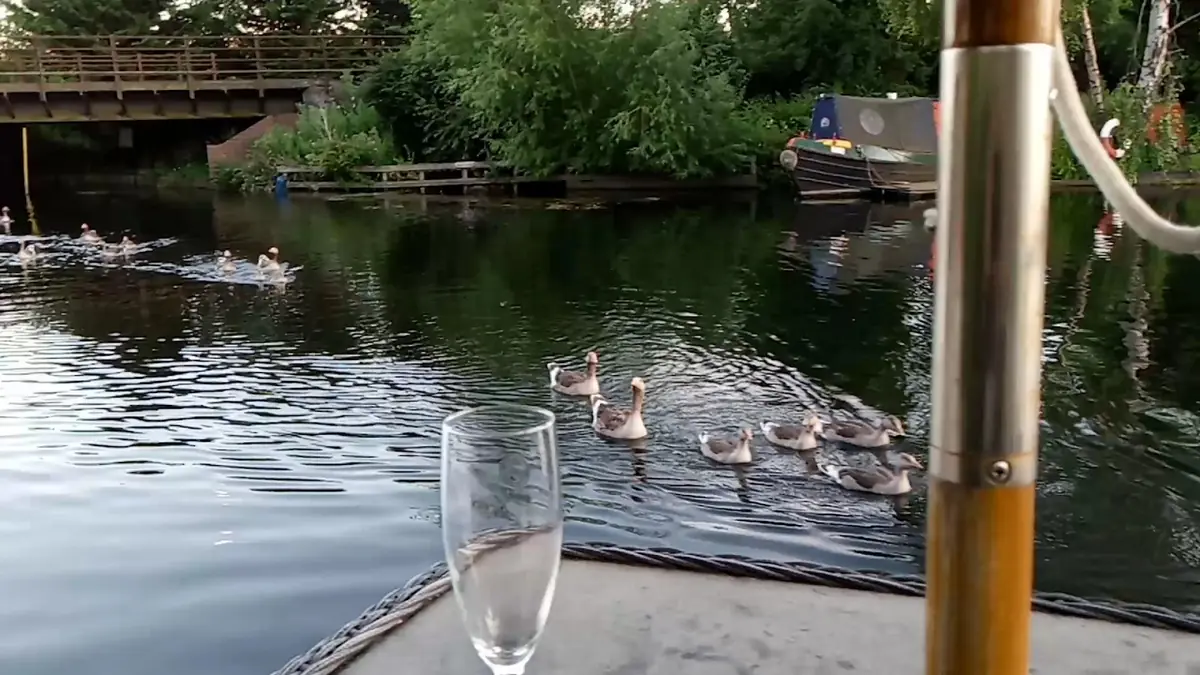 The Rushcutters photo (photo 2 of 3)