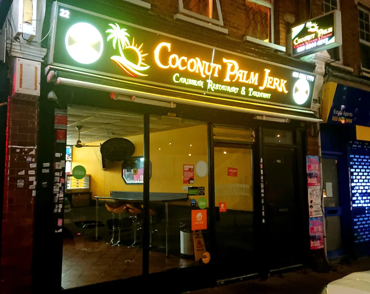 Coconut Palm