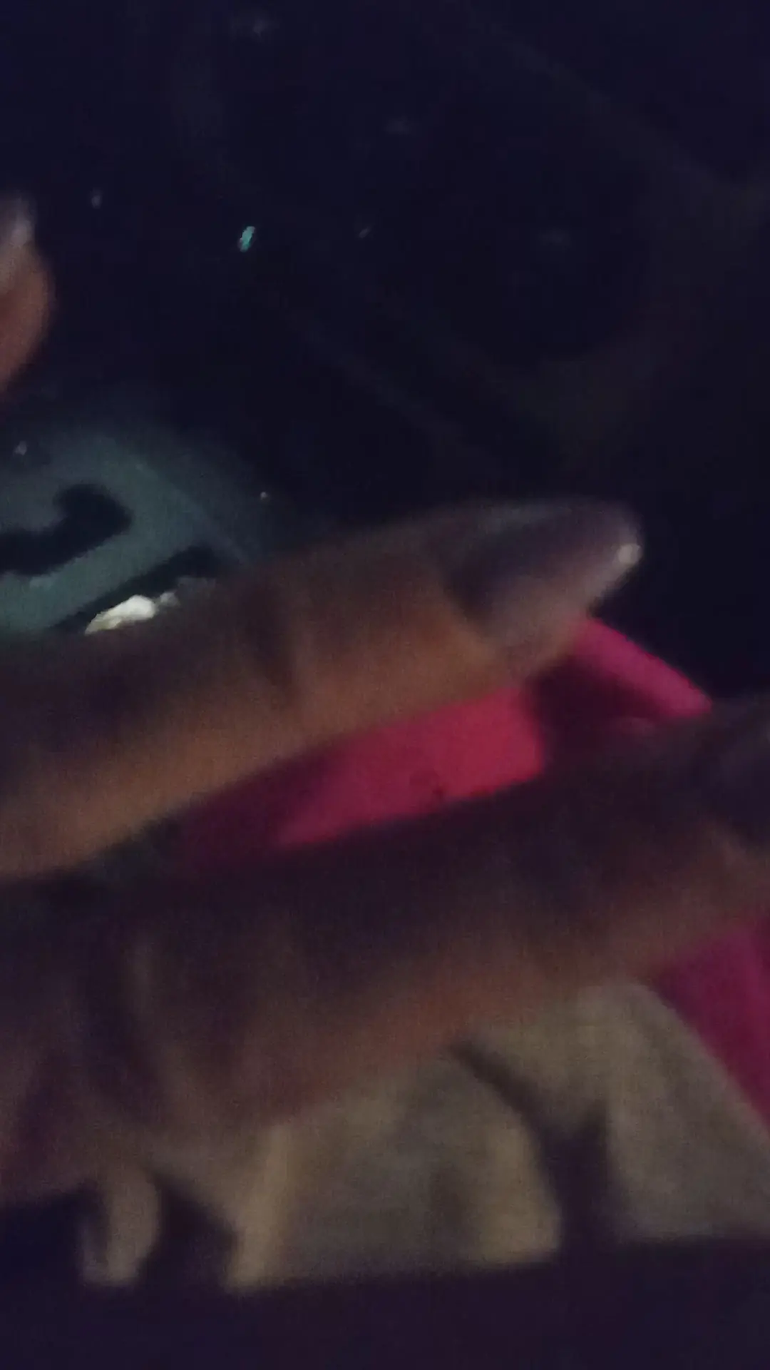 Diva's Lashes & Nail Salon photo (photo 2 of 3)