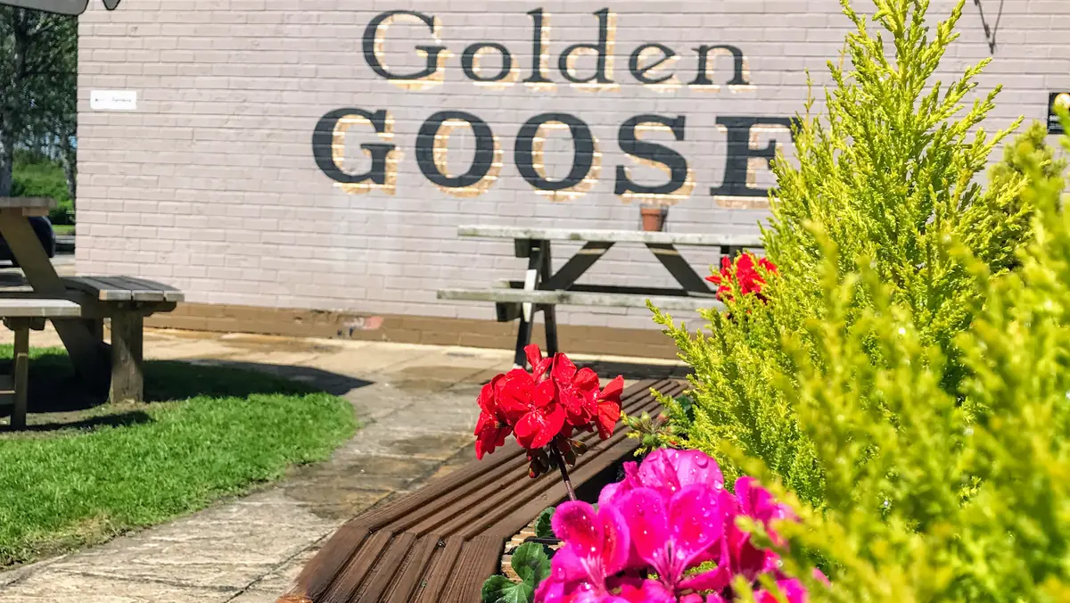 The Golden Goose photo (photo 3 of 3)