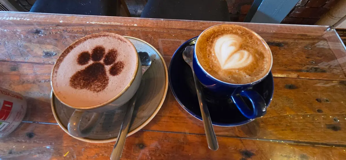 Tabby Teas photo (photo 3 of 3)