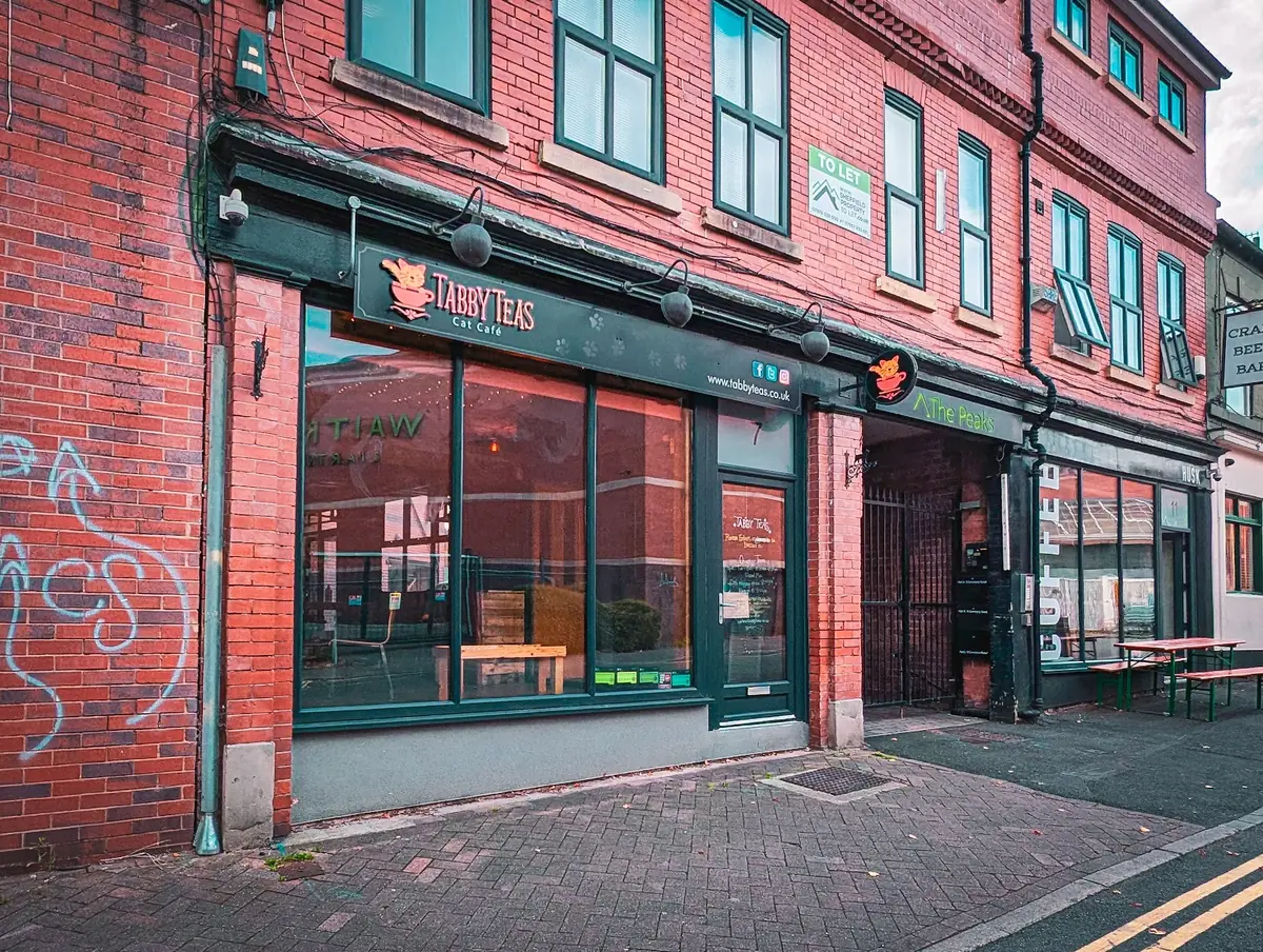 Tabby Teas — Cafes in Sheffield