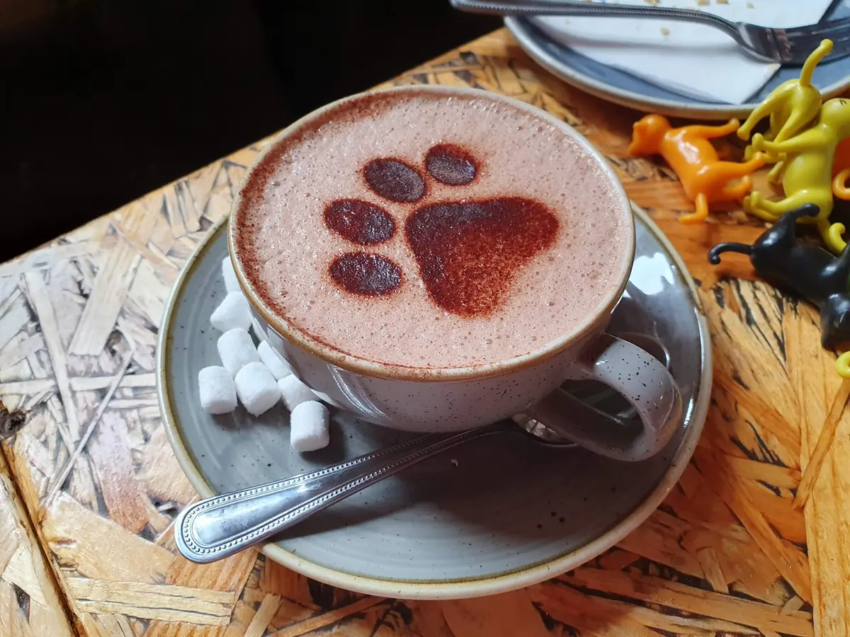Tabby Teas photo (photo 2 of 3)