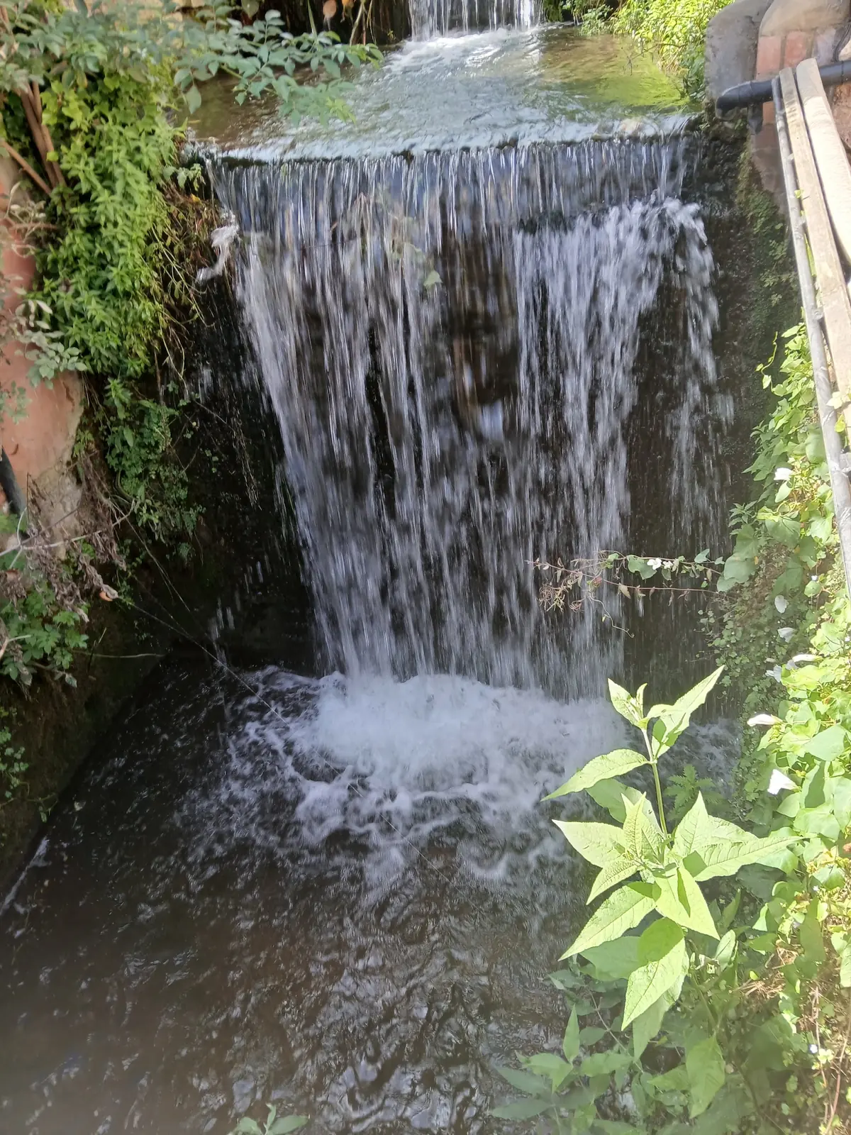 The Old Mill photo (photo 3 of 3)