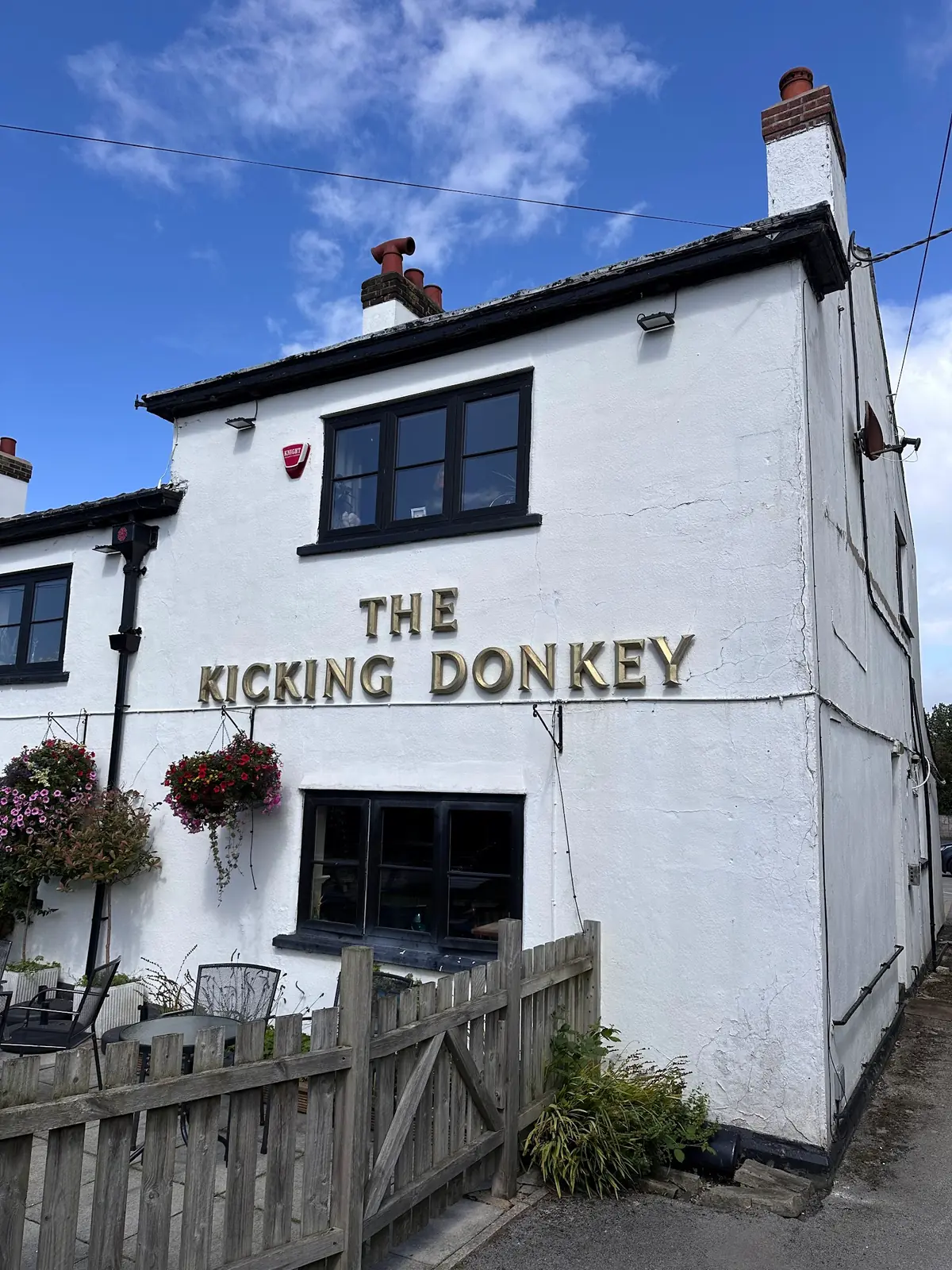 The Kicking Donkey