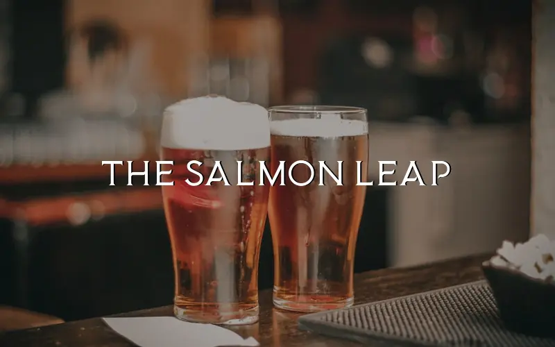 The Salmon Leap photo (photo 1 of 3)